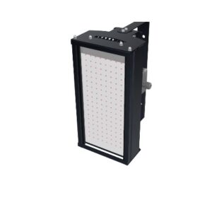 AES-300W-03 Marul ve Yeşillikler